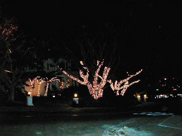 Christmas light display installed by Spriggs Brothers — photo 4
