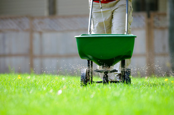 Proper fertilization will help to green up your lawn.