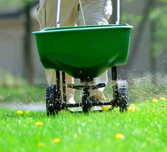 Photograph of a Lawn Being Seeded - Organic Weed Control