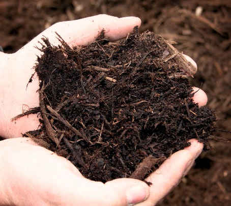 Photograph of Soil in hand